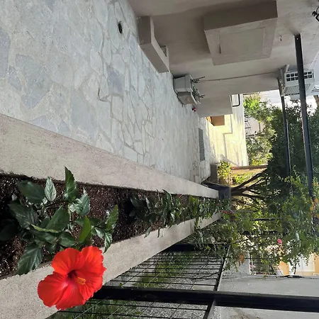 In - Lovely For 2 People In Limenaria, Only Five Minutes Away From Center 招待所